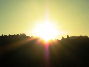 background_morning_sun (2)