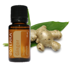 doterra ginger essential oil