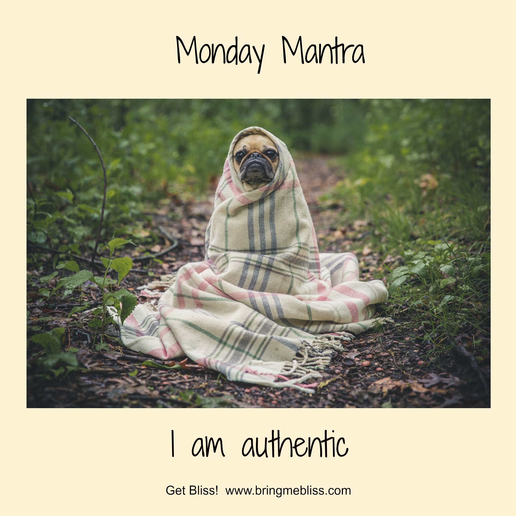 Monday Mantra – I Am Authentic